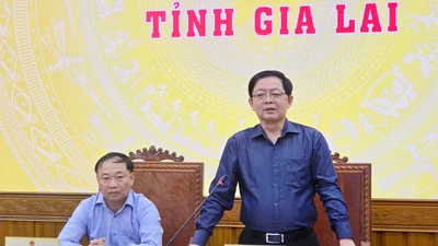 Phó Thủ tướng Hồ Quốc Dũng yêu cầu Gia Lai khẩn trương hỗ trợ người dân bị thiệt hại do bão