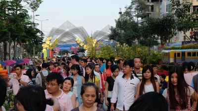 Đường hoa tết sẽ được tổ chức ở phố đi bộ Nguyễn Huệ