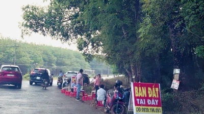 Sốt đất Bình Phước: Lấy cả loa kẹo kéo ra rao hàng