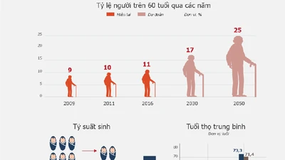 Dân số Việt Nam chưa giàu đã già 