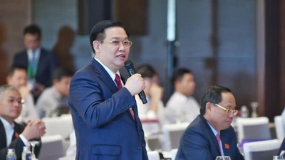 Chủ tịch Quốc hội trao đổi với chuyên gia cao cấp của UNDP về hỗ trợ người lao động và doanh nghiệp