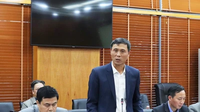 Bộ Nội vụ nói về đề xuất của TP.HCM thành lập Sở An toàn thực phẩm 