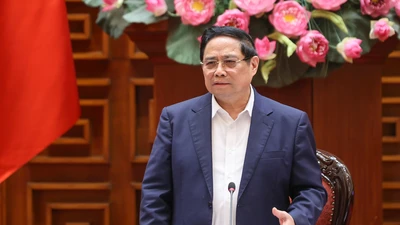 Sẽ thanh tra đột xuất một số địa phương liên quan đến thống kê, đánh giá thiệt hại sau bão lũ