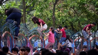 Công viên Hồ Tây hỗn loạn vì… miễn phí 