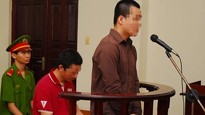 Những ‘viên gạch’ cải cách tư pháp