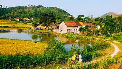 ‘Dân làm ra vẻ đẹp Tam Kỳ chứ ai!’