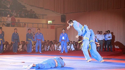 Võ ‘lạ’ chinh phục khán giả Việt Nam