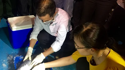 Đã xác định được nguyên nhân cá chết