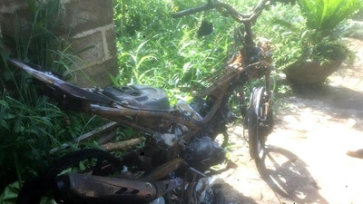 Giăng dây bắt kẻ bắn trộm heo