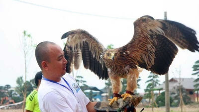 Thú chơi chim... dữ