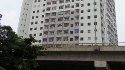 Đang điều tra sai phạm xây dựng của ‘đại gia điếu cày’