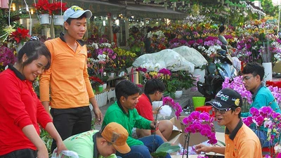 Hoa đẹp, kiểng lạ ba miền hội tụ về Sài Gòn