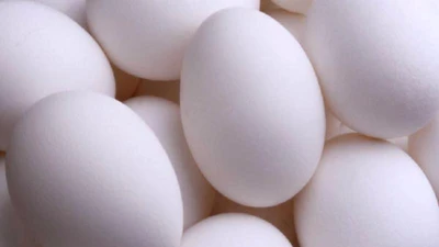 Cán bộ trộm vặt, quý vị thông cảm nhé (!)