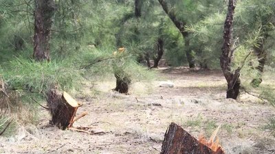 HTX cho người phá rừng phòng hộ, dân vây đưa về xã 