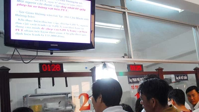 Khó chặn người vi phạm làm bằng lái mới