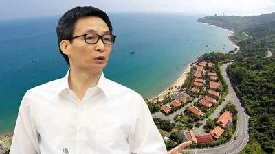 Yêu cầu tạm dừng triển khai quy hoạch Sơn Trà