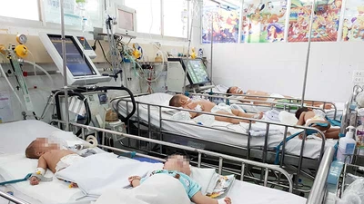 Báo động viêm não Nhật Bản tăng vọt cả nước 