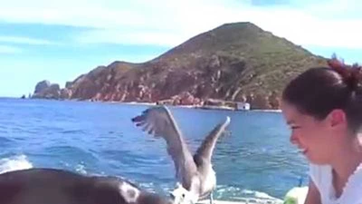 Vừa được đi nhờ lại còn được ăn!