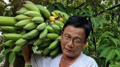 Hành trang quê nhà của Võ Đắc Danh