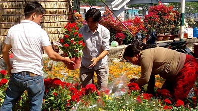Khống chế điểm bán hoa Tết, nên chăng? 