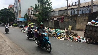Nhiều chiêu trị nạn vứt rác bừa bãi