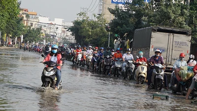Căng mình chống chọi với triều cường