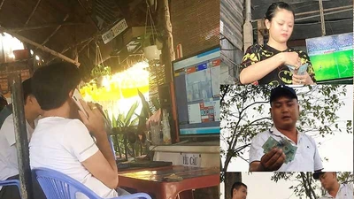 ĐIỀU TRA: Báo tin các sới gà, tám ngày sau... vẫn như cũ