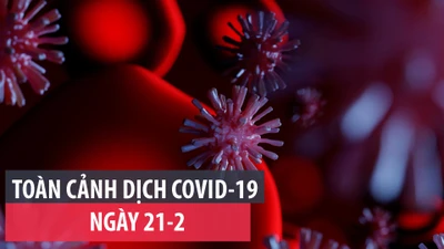 Toàn cảnh dịch COVID-19 ngày 21-2