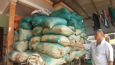 Người dân Quảng Bình gượng dậy sau lũ