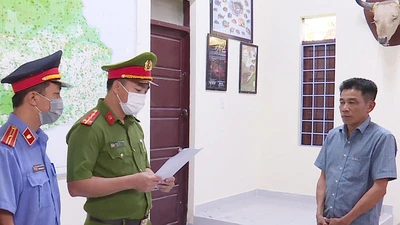 Video: Bắt tạm giam Trạm trưởng Kiểm lâm nhận hối lộ để cho lâm tặc phá rừng