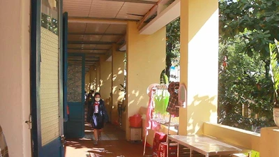 Video: Giải quyết tình trạng xuống cấp tại các trường học ở Đà Nẵng