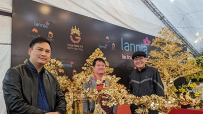 Video: Cận cảnh cây mai mạ vàng 24K vừa đạt kỷ lục Việt Nam