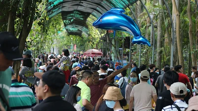 Video: Nhiều gia đình ở TP.HCM chọn du xuân ở Thảo Cầm Viên, Đầm Sen mùng 2 Tết