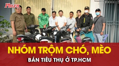 Bắt quả tang nhóm trộm chó, mèo đem bán tiêu thụ ở TP.HCM