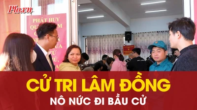 Cử tri Lâm Đồng nô nức đi bầu cử, hòa chung khí thế Ngày hội non sông