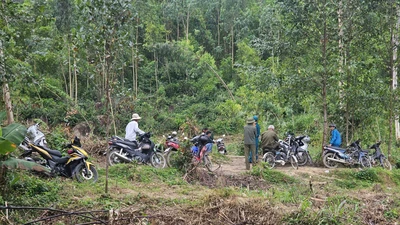 Máy bay huấn luyện rơi ở Đắk Lắk, phi công thoát nạn