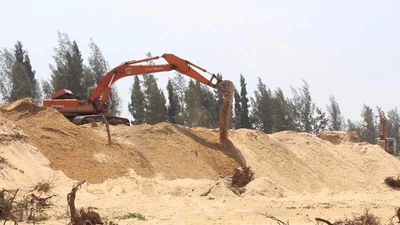 C49 - Bộ Công an vào cuộc vụ phá rừng ở Phú Yên