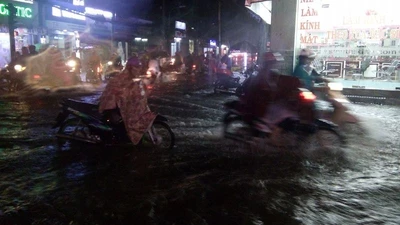  Nơi vừa giải cứu lại ngập tơi bời