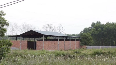 Xuất hiện nhiều công trình trái phép chờ đền bù dự án cao tốc Bắc - Nam