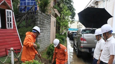 EVNNPC triển khai phương án ứng phó bão số 10