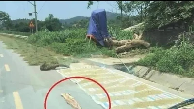 Phơi lúa trên đường: Coi chừng bị xử lý hình sự