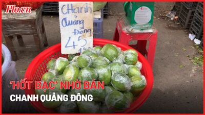 Video: Bán cả tạ chanh Quảng Đông mỗi ngày nhờ cơn sốt ‘trà chanh giã tay’