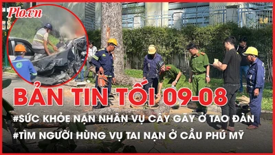 Bản tin tối 9-8: Sức khỏe 3 người bị thương vụ cây gãy ở công viên Tao Đàn; Công an tìm người hùng trong vụ tai nạn ở cầu Phú Mỹ