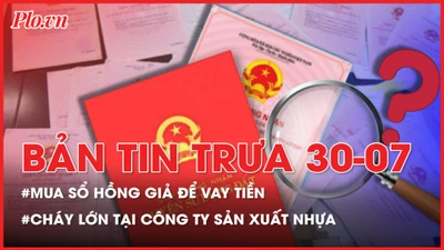 Bản tin trưa 30-7: Lên mạng mua sổ hồng giả để vay tiền; Cháy lớn tại công ty sản xuất nhựa