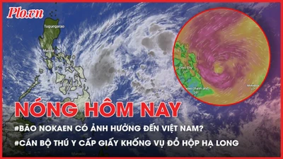 Bão Nokaen có ảnh hưởng đến Việt Nam? Cán bộ thú y cấp giấy khống cho thịt lợn bệnh vụ Đồ hộp Hạ Long