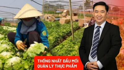 Quản lý thực phẩm theo chuỗi giá trị: Đột phá từ chủ trương thống nhất đầu mối 