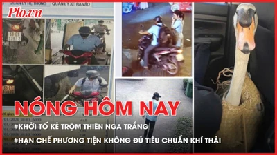 Khởi tố kẻ trộm thiên nga trắng ở Thảo Cầm Viên; TP.HCM tiến tới hạn chế phương tiện không đủ tiêu chuẩn khí thải