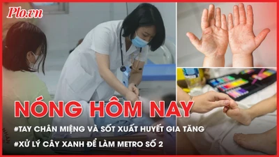 Số ca tay chân miệng và sốt xuất huyết gia tăng; Xử lý hơn 450 cây xanh để làm metro số 2
