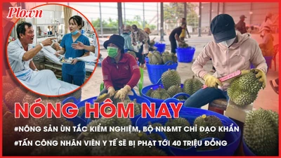 Nhiều nông sản ùn tắc kiểm nghiệm, Bộ NN&MT chỉ đạo khẩn; Từ 15-5, tấn công nhân viên y tế bị phạt tới 40 triệu đồng