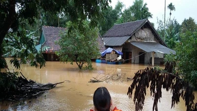 Lũ khẩn cấp trên các sông ở Hà Tĩnh, Quảng Bình